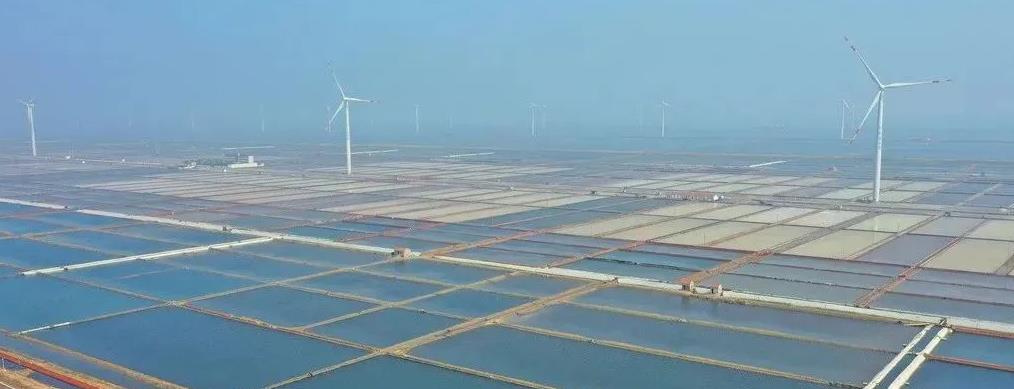 充分利用有利的地形條件，濱海大力發(fā)展風(fēng)能發(fā)電 攝影：袁彥奎.jpg